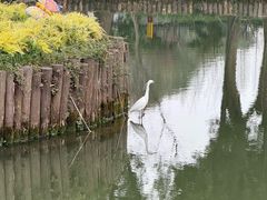 -无锡梅园公园