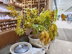 -今日陶艺(富力广场店)