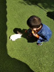 -萌宠亲子动物乐园(槐房万达店)