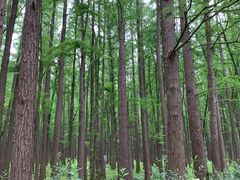 -共青国家森林公园-售票处