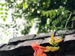 -梵几(东信·和创园店)