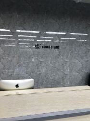 -INS羽毛接发·巴黎画染