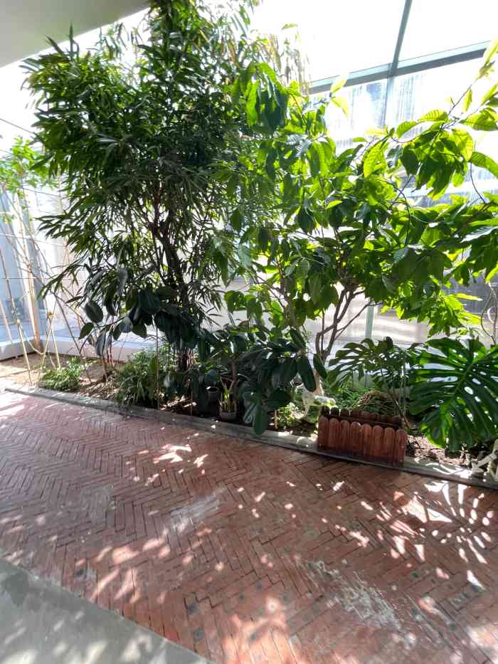 cyber plants-"来朗园station参加一个市集活动 找."-大众点评移动版