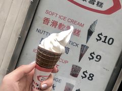 -富豪雪糕车流动点(尖沙咀店)