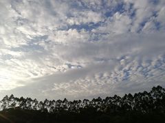 -火炉山森林公园