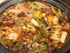 -小饕荟雅安贡椒鱼鲜馆(广福桥店)