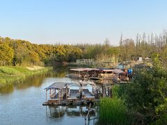 景点-上海长兴岛郊野公园