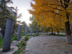 -北京邮电大学