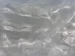 -台山黑沙湾海浴场