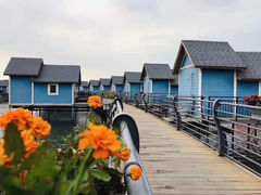 -月坨岛华清月府温泉酒店