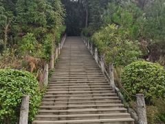 -铁山坪森林公园