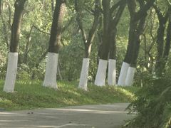 -燕晗山郊野公园