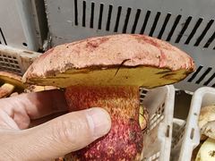 -山菌美食苑(振兴路店)