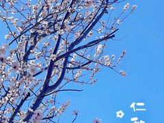 -仁和公园(顺义区)