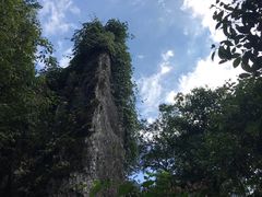 -山王坪喀斯特国家生态公园