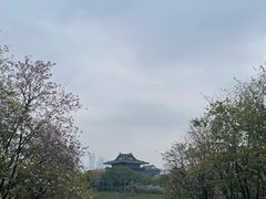 -海珠湖公园