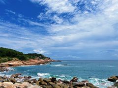 -广东惠东海龟国家级自然保护区