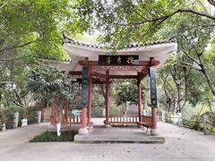 -龙头寺公园