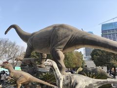 -陕西自然博物馆