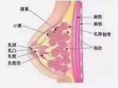 -昆山招商花园城