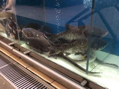 -CGV影城(滨江天街IMAX店)