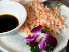 清炒虾仁大份-金典银峰老鹅馆·昆山菜(亭林公园店)