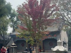 -护国法轮寺