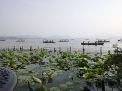 -湖畔居茶楼(湖滨店)