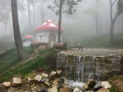 -沂蒙山旅游区云蒙景区(蒙山国家森林公园)