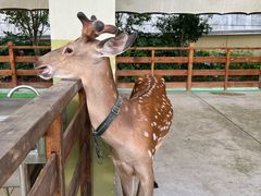 -华谊兄弟（长沙）电影小镇