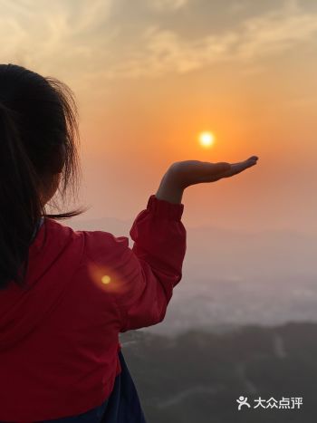 终极浪漫收集日落计划｜阳台山森林公园️