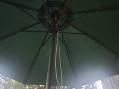 -秦园陕西手工面馆(番禺节能科技园店)