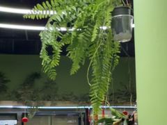 -上海大自然野生昆虫馆(东方明珠·爬宠昆虫探索中心)