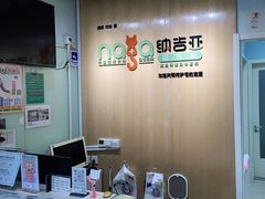 -纳吉亚猫专科动物医院博雅分院