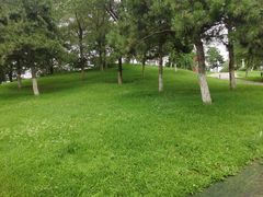 -莫子山公园