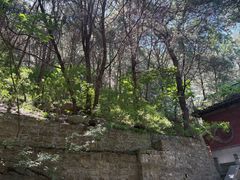 -四门塔风景区