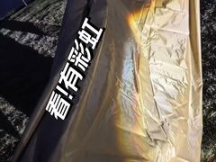 -春花秋色城市公园