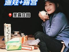 -圣露庄园·亲子活动乐园·露营·团建婚礼