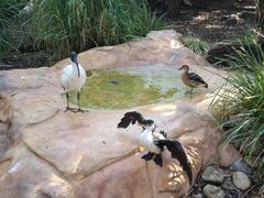 -费瑟代尔野生动物园