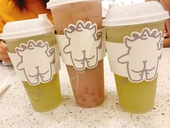 山泉油柑（绿屁屁）-茶力的小怪兽(梅林卓悦汇店)