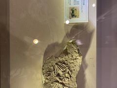 -辽宁古生物博物馆