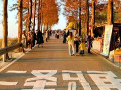 -泽雅景区