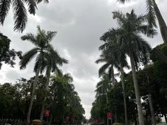 -万绿园