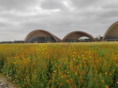 -中国天府农业博览园