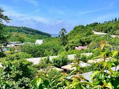 -桃源山庄·水蜜桃采摘·柴火鸡·烧烤团建(龙泉山店)