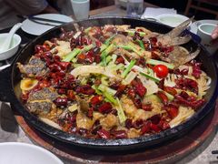 -老板恋上鱼(恒隆广场店)