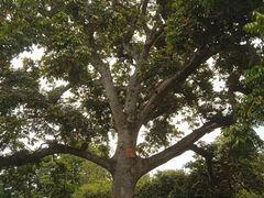 -福建鲤鱼洲酒店