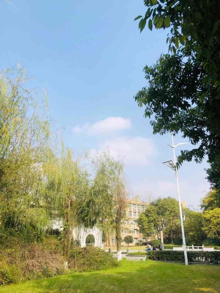 西南财经大学柳林图片