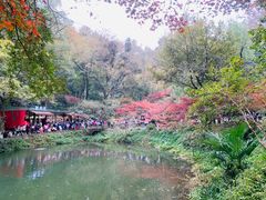 -岳麓山风景名胜区