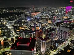 -新加坡瑞士史丹福酒店